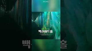 [#미디어아트] 백산아트홀 프로젝션 맵핑 (Shorts) | Baeksan Art Hal Projection Mapping