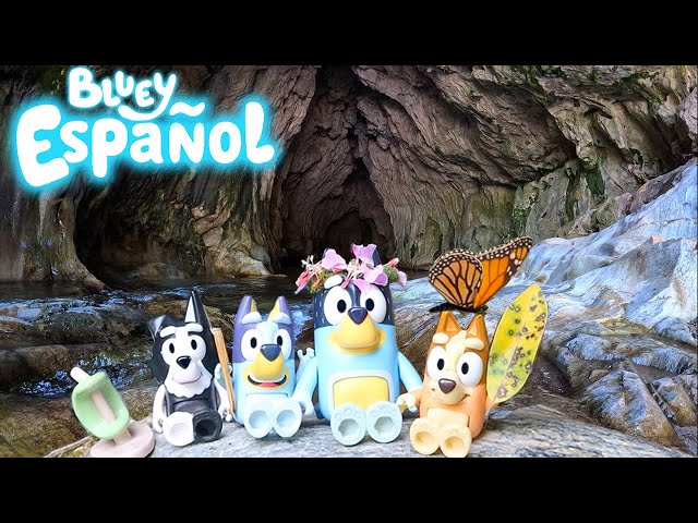 Bluey Toys El Episodio Creek, Bluey Arroyo