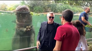 People Une Nouvelle Espèce À Grosses Têtes Accueillie À Beauval