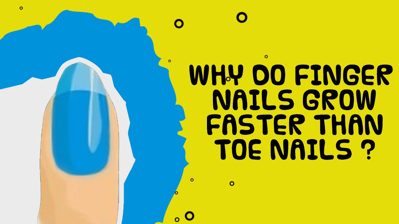Facts about Nails Why do Finger Nails Grow? Facts about Human Body YouTube