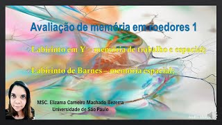 Avaliação de memória em roedores 1#memory #barnesmaze #ymaze