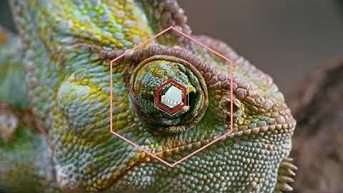 سورة مريم بصوة رائع جدا