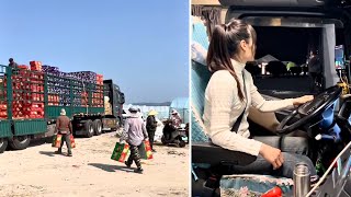 Harvesting & Transporting Fresh Melons Xu Yingyings Life As A Female Truck Driver