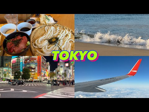 [도쿄여행/TOKYO] 도쿄 근교 소도시 카마쿠라 여행 🚃 • 일본 스타벅스 겨울 메뉴 🍓 • 일본 과자 추천 🛒