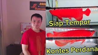 Ready to Fight in the First Contest