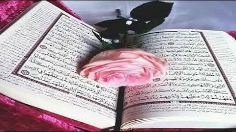 القارئ عمر مسجد أم القرى سيدي بلعباس ما تيسر من سورة الأنعام