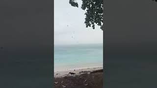 Anung ladot penghuni pulau delli island