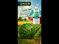 قالوا الإصابة الفيروسية ملهاش حل بس احنا قولنا لأ