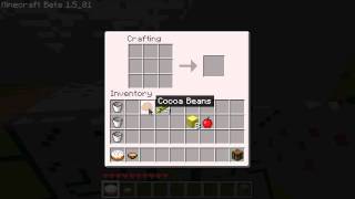 Minecraft Master Chef