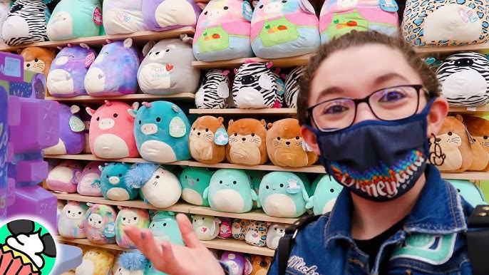 images Valentine's Day Spring Squishmallows 2021 squishmallow hunting at walgreens