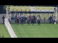 2015 St James's Palace Stakes - Gleneagles - Racing UK