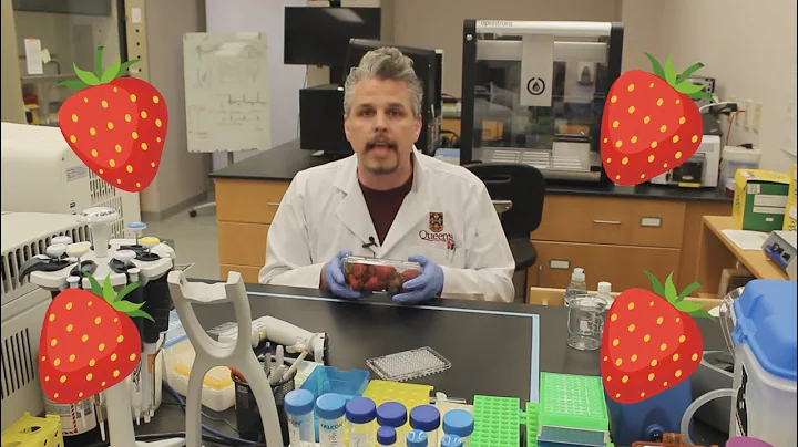 QCPU's Edu-Lab - Strawberry DNA Extraction