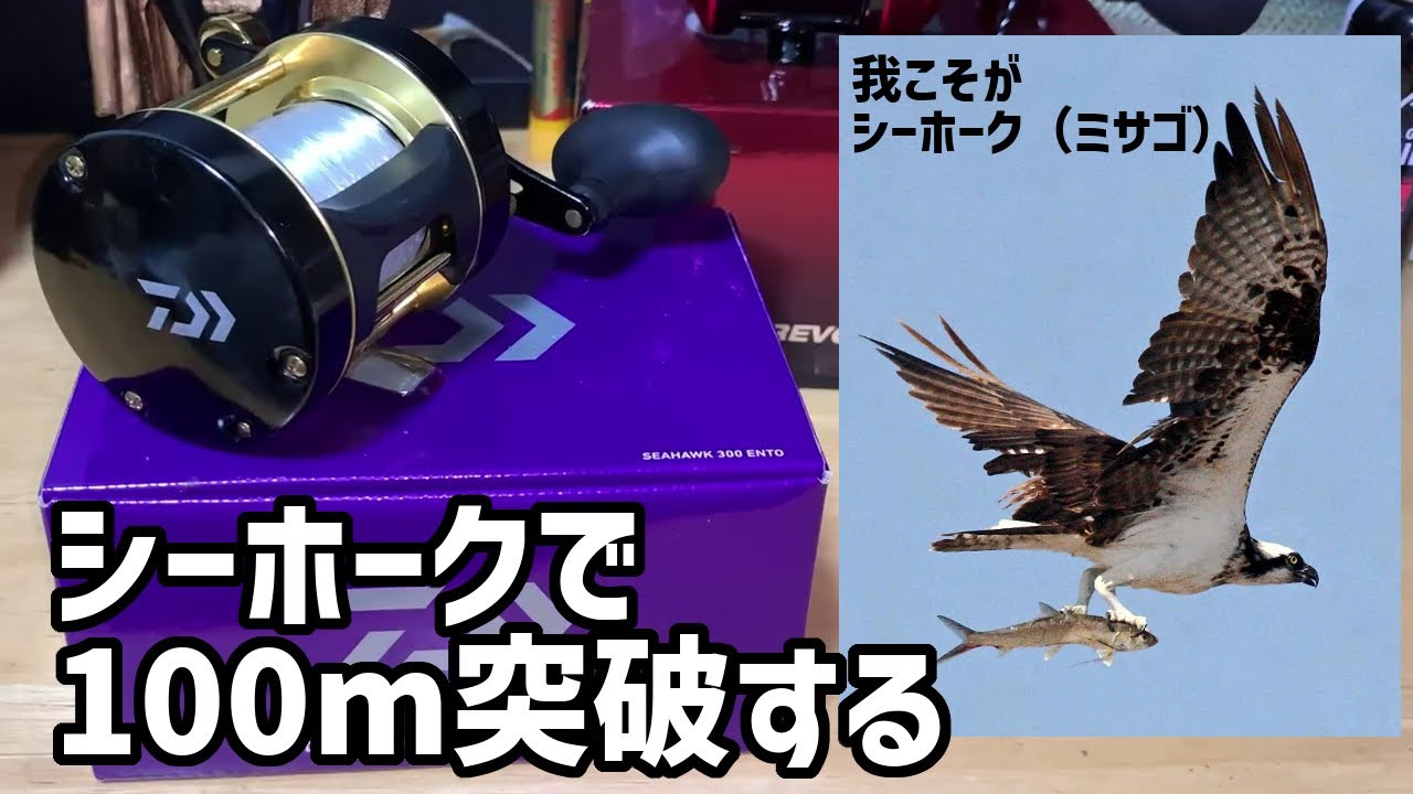 カゴ釣り入門装備で100m以上ぶっ飛ばせ！【ダイワ シーホーク】 - YouTube