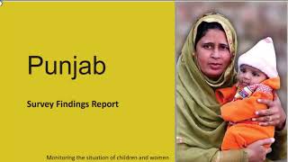 R-Instat: Importing MICS Data into R-Instat