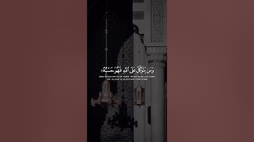ماهر المعيقلي..سورة الطلاق.. اللهم اجعلنا من المتقين…🌸🌿