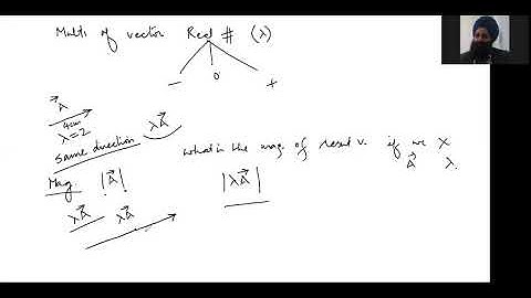 Multiplication of a vector by a real number
