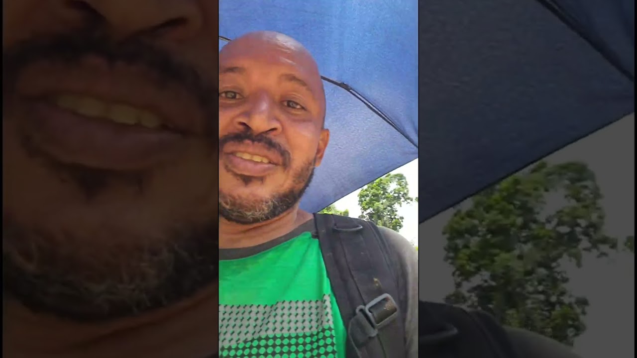 Trail Walking Butterfly Landing Gold Mining Area Cuyuni 