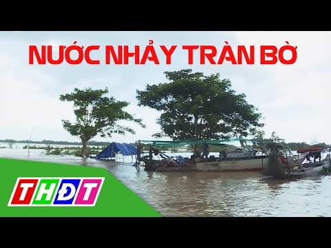 Video Chỉ có ở miền Tây: Nước nhảy tràn bờ | Đặc sản miền... - youtube