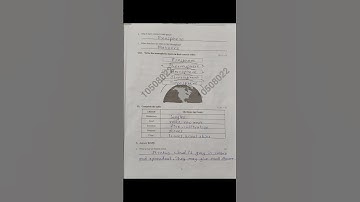 5th std Social science English medium term 1 answers 2015-2026 #trending #socialscience #5thsocial