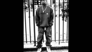 Big L - Intro & Dj Premier
