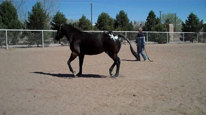 Positively Cool video taken 4-7-10.wmv