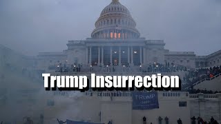 Trump U.S. Capitol Insurrection Riot | Arnold Schwarzenegger Compares Event To Kristallnacht