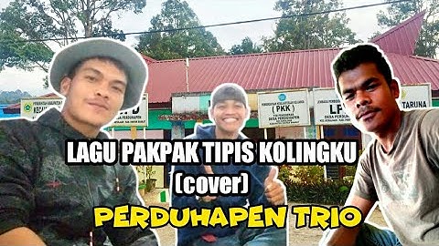 Lagu pakpak Baper-Tipis Kolingku (cover)- Perduhapen Trio