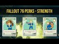 Fallout 76 Perk Cards Strength