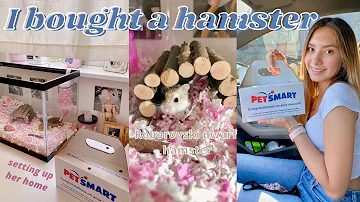 I BOUGHT A HAMSTER *cage set-up & hamster haul*