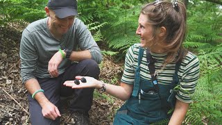 Weird &amp; Wonderful Nature with Lucy Lapwing