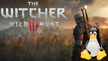 The Witcher 3: Wild Hunt | Linux Radeon 9070 xt 1080p