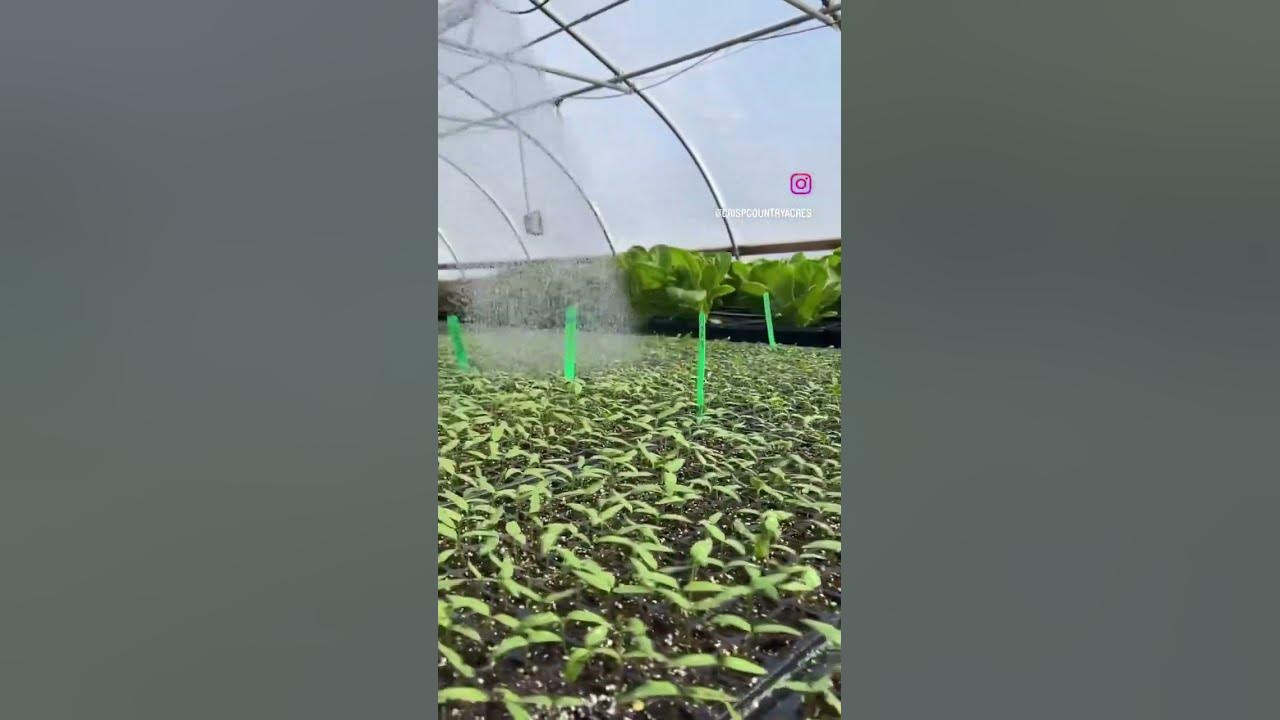 Why do we farm youtube