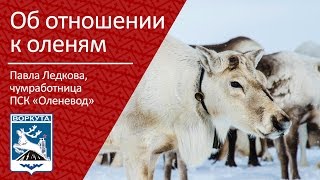 Об Отношении К Оленям