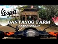 Bantayog farm lucban quezon  farm and resto  vespa scooter ride  travel