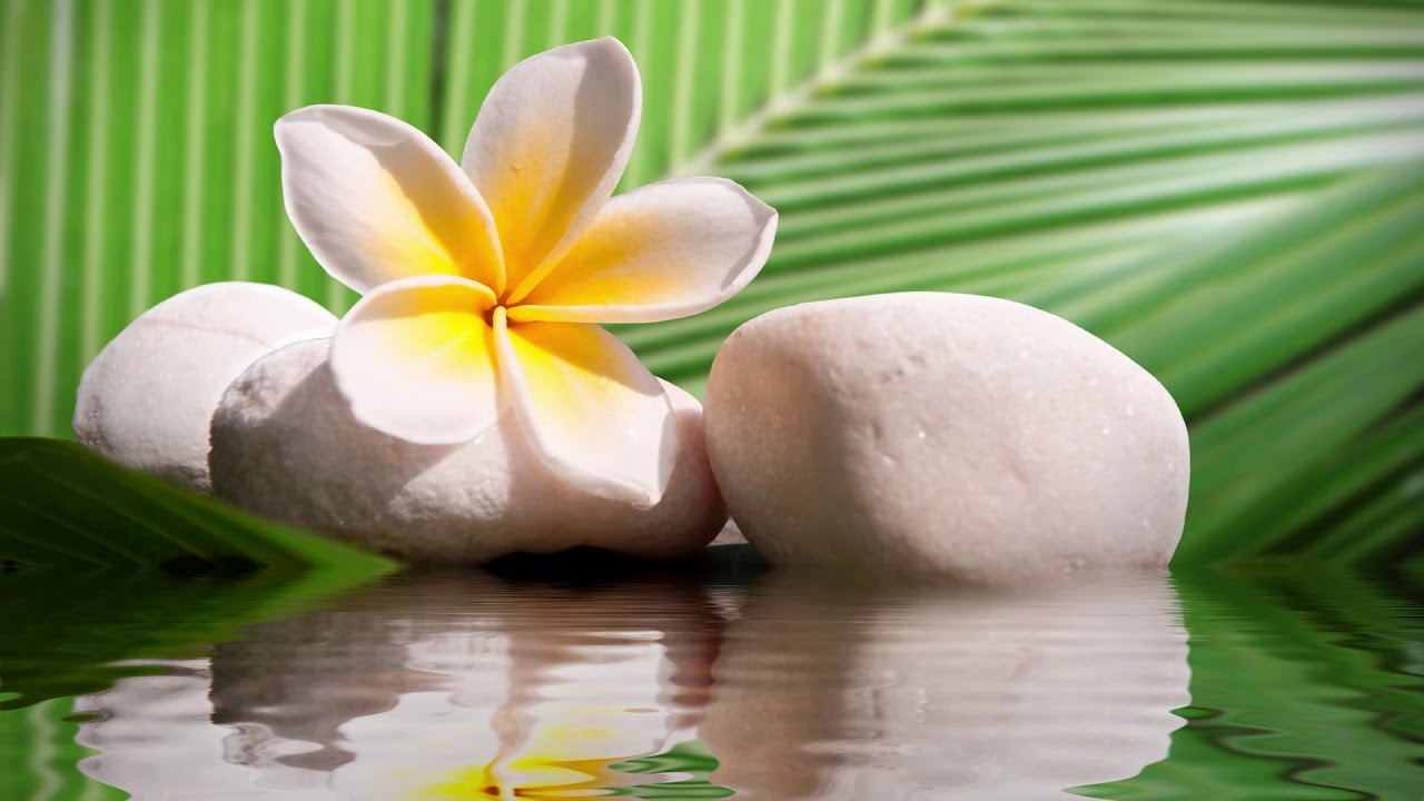 Aukahi Pride-Going Home (Song For Li'a)