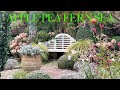 December small space garden tour gorgeous flowers foliage festive feel  surprise winter visitor