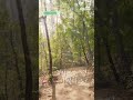 넌 서울대공원 산림욕장길이잖아!!!