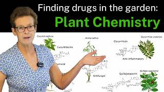 Finding drugs in the garden: harnessing plant metabolic diversity for therapeutic applications