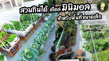 สวนกินได้สไตล์มินิมอลสำหรับพื้นที่ขนาดเล็ก | ไอเดียสวนขนาดเล็ก | สวนผักพ่อครัว
