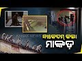 Watch monkey terror in dhabaleswar enters hotel  caught on cam