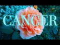Cancer I am blown away by what is unfolding for you! 😲💖🌹Definitely got chills more than once!