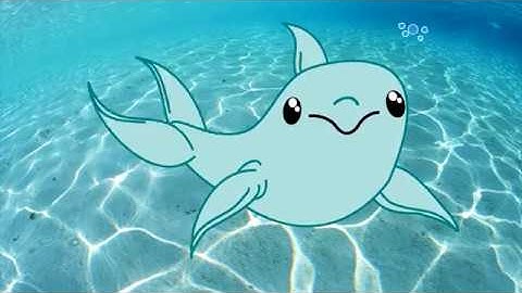 TupiTube Desk Demo. An Adventure in the Sea