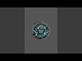 Forest Animals Video Live