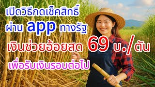 ใครยังไม่ได้เงิน เปิดวิธีกดเช็คสิทธิ์ เงินช่วยเหลือชาวไร่อ้อยตัดอ้อยสดลดฝุ่น PM 2.5 