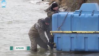 Рыбалка удастся! Как возрождают рыболовные хозяйства в Новосибирской области?