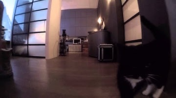 Handheld Gopro gimbal with Storm32 first tests