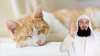 How to achieve the comfort in your sleep - Mufti Menk