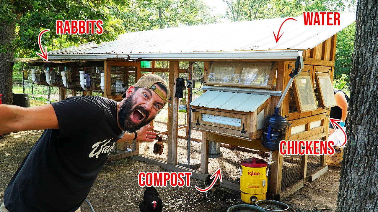 Couple turns DIY chicken coop into a PERMACULTURE MASTERPIECE! - YouTube