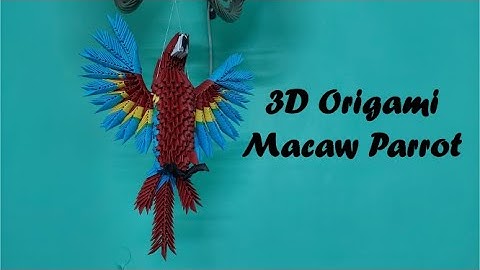 3D Origami Macaw Parrot  / Short Video