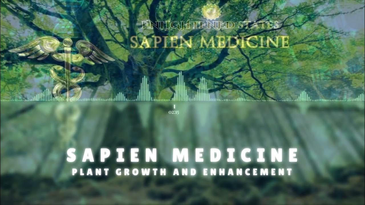 Plant Growth and Enhancement by Sapien Medicine (Energetically Programmed) Plant Growth and Enhancement by Sapien Medicine (Energetically Programmed)